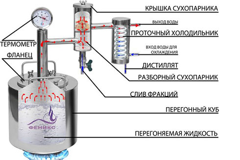 Феникс Народный